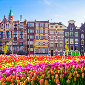 Image for Top things to do while in Amsterdam