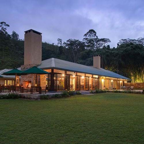 Ceylon Tea Trails
