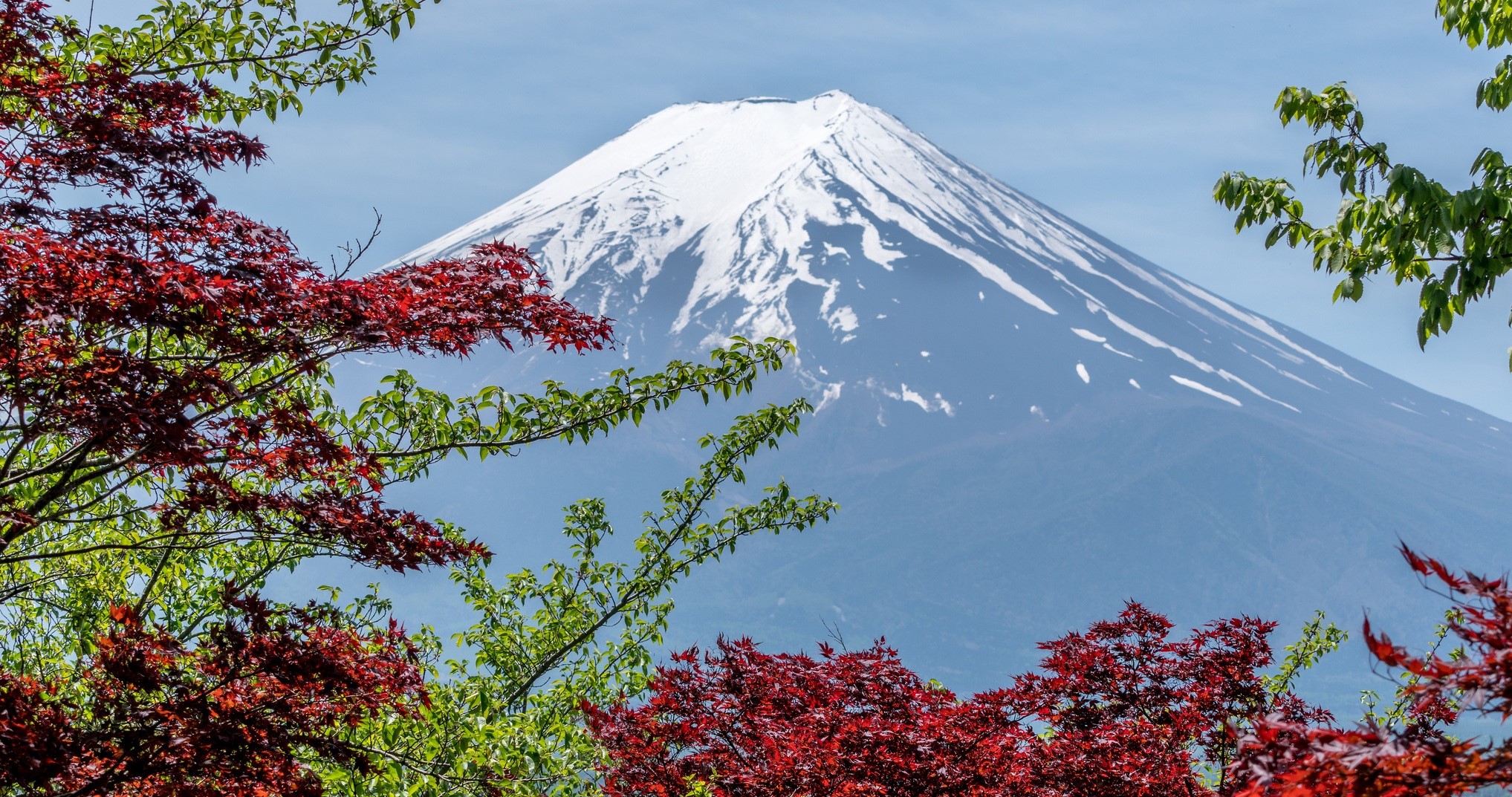 Image for Land of the Rising Sun: Travels through Japan