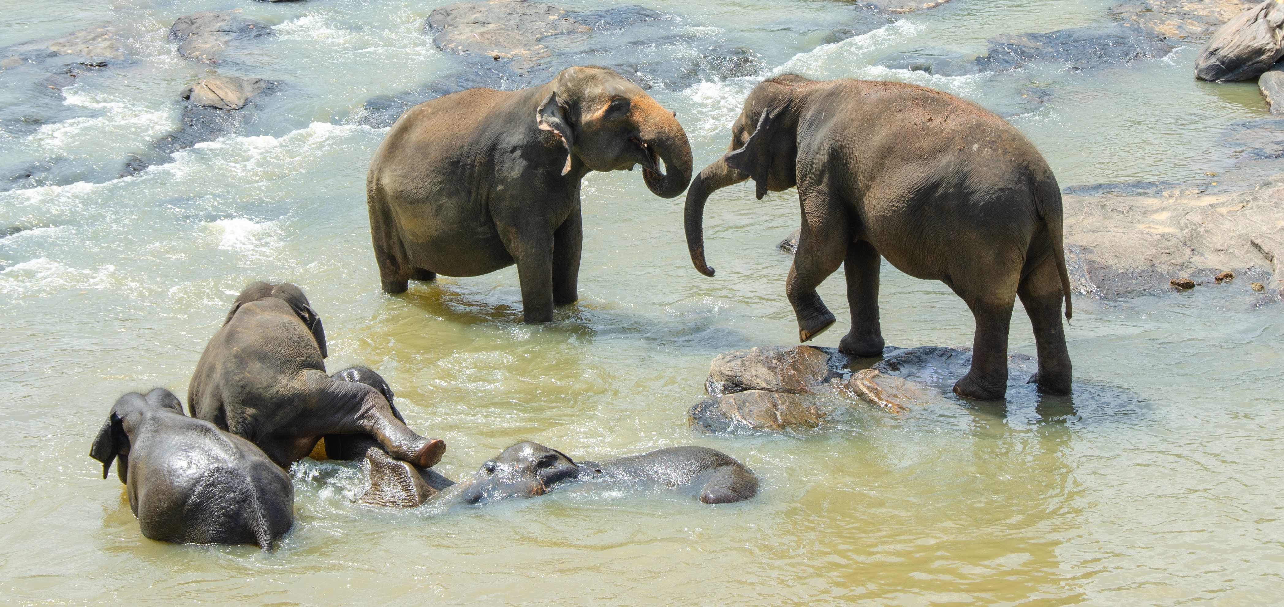 Image for Sri Lanka vs England ODI & T20 Series