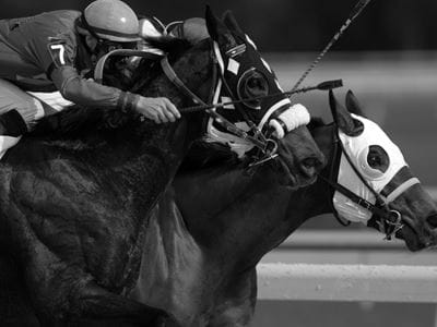 Image for Horse Racing