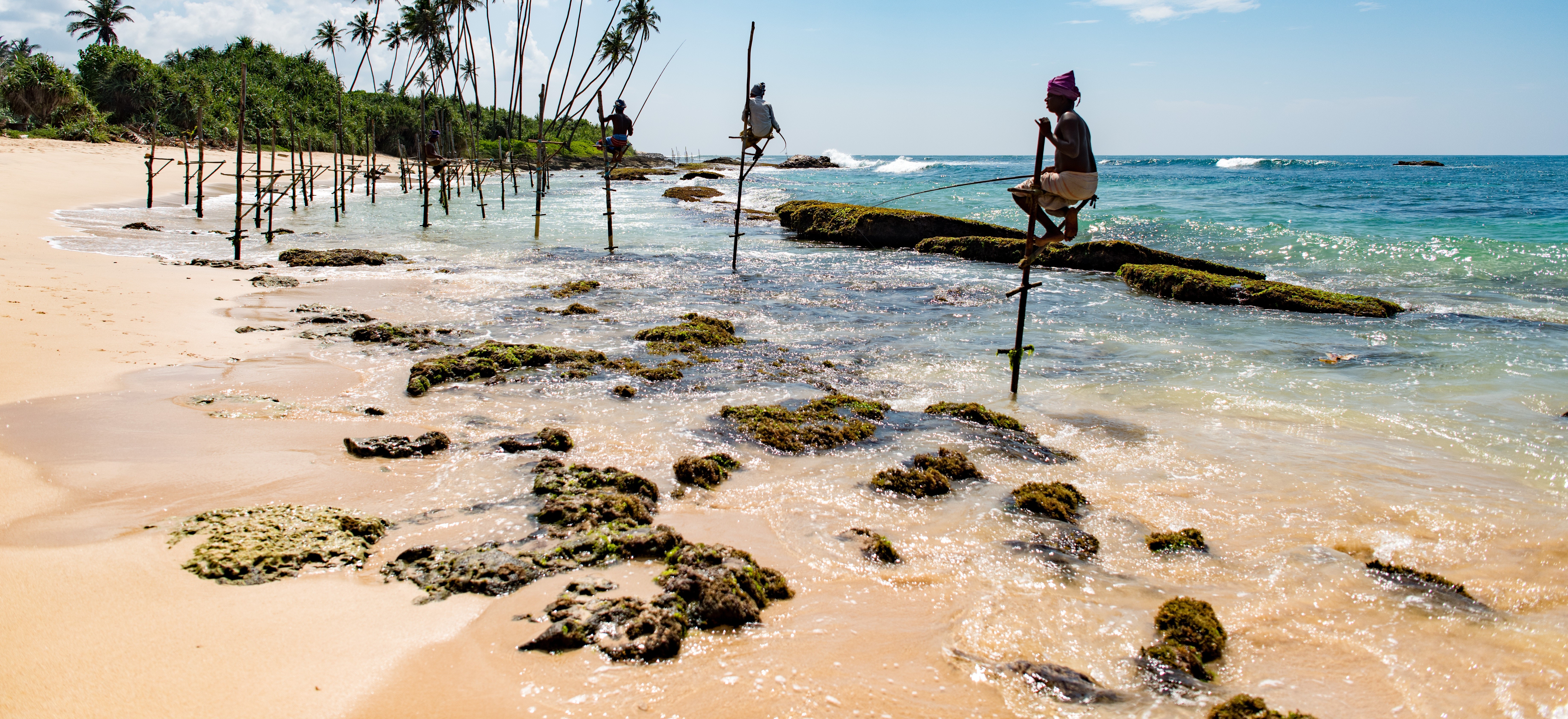 Image for Magical magnificence of Sri Lanka