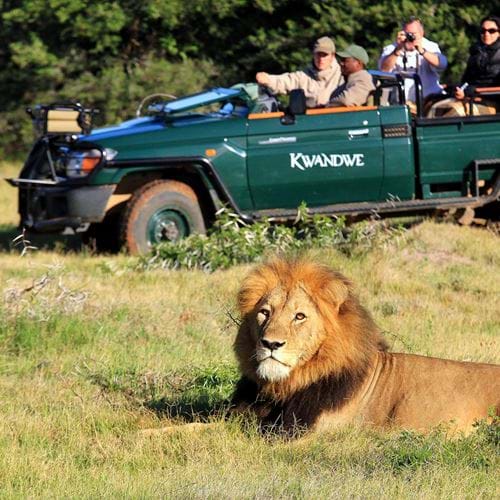 Kwandwe Private Game Reserve