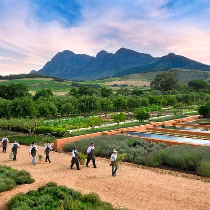 Image for Babylonstoren