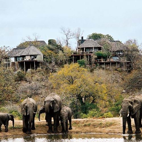 Leopard Hills Private Game Reserve