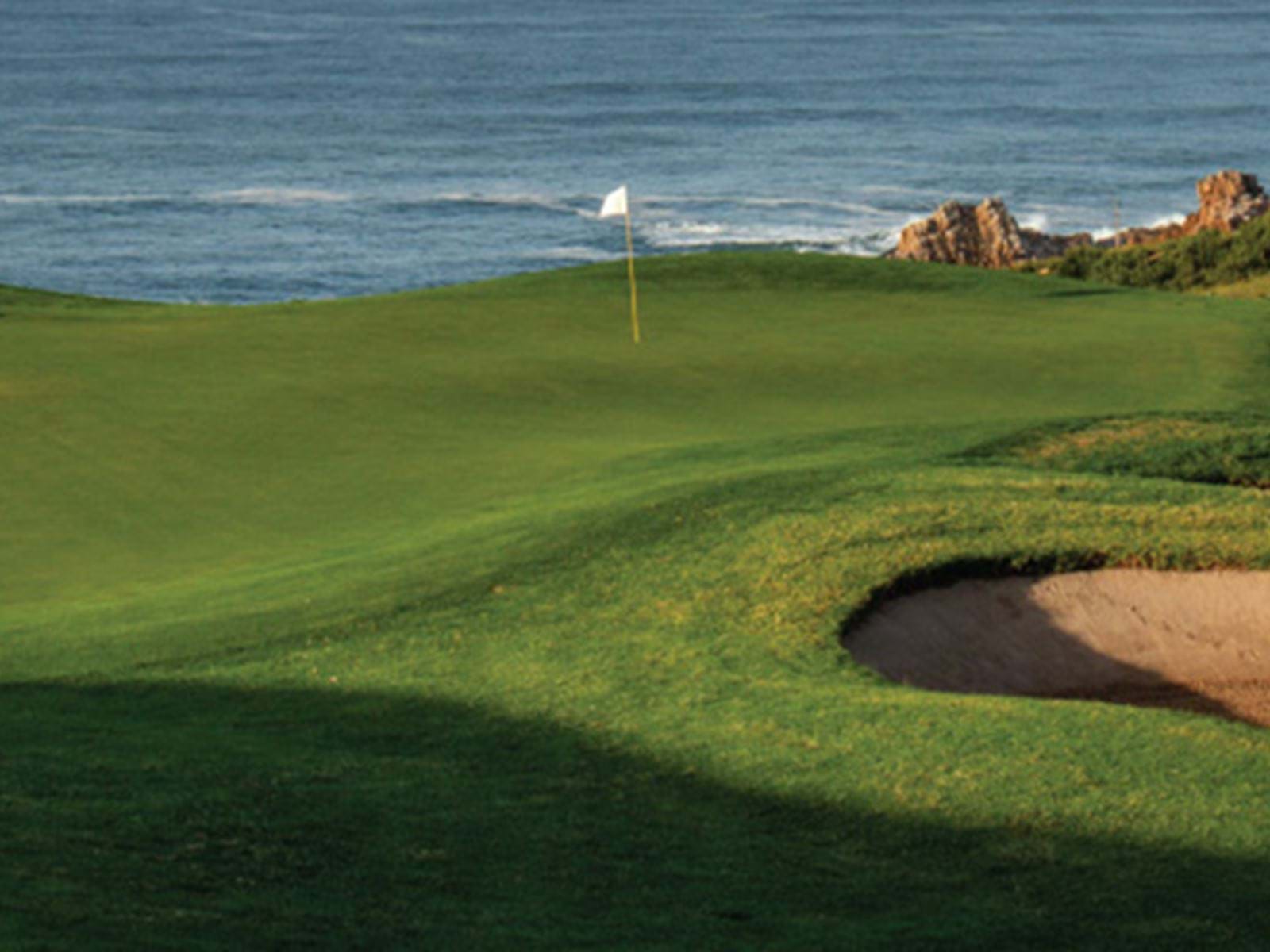 Pezula Golf Course Golfing Elegance on the Garden Route Black Opal