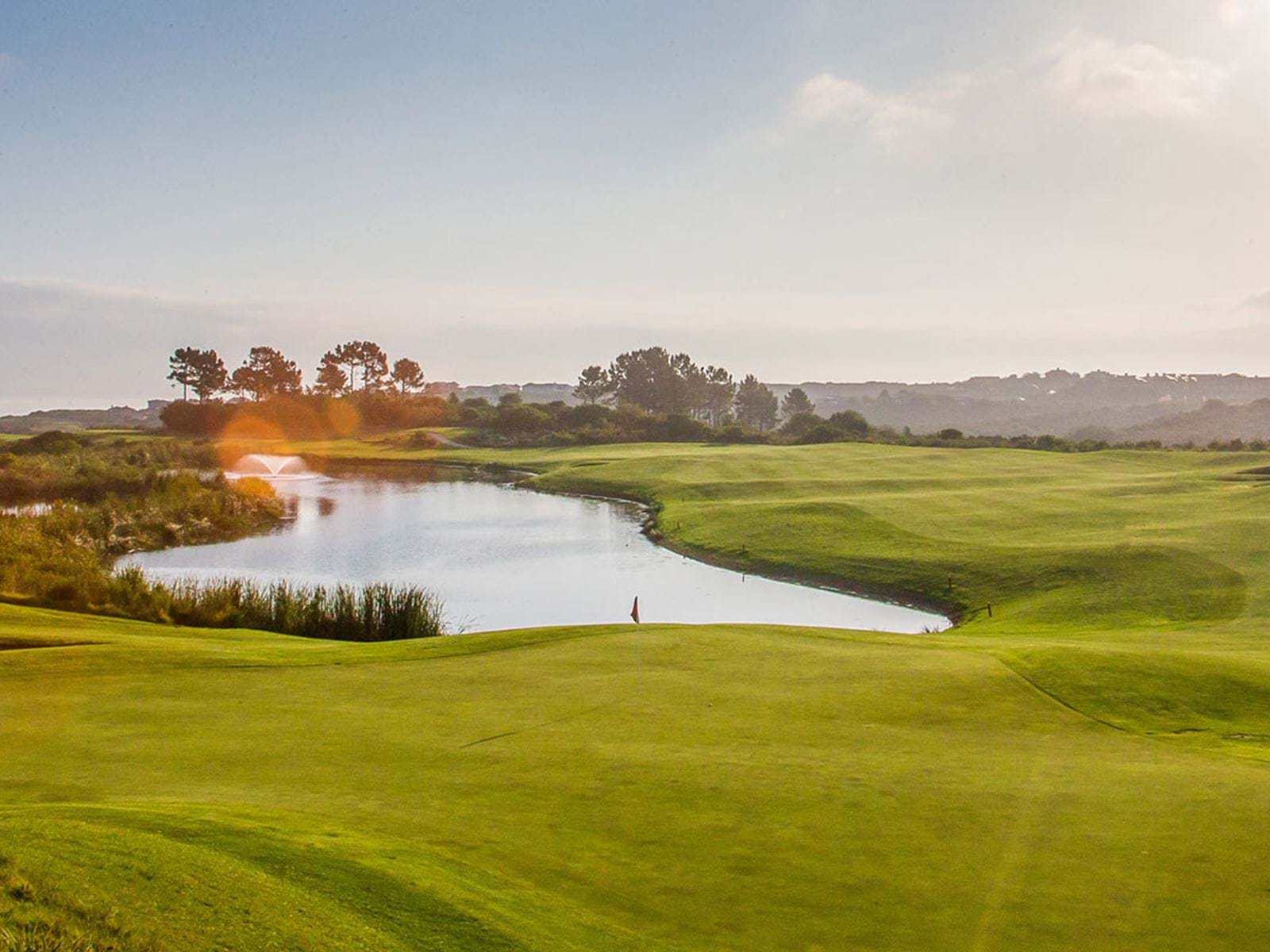 Pezula Golf Course Golfing Elegance on the Garden Route Black Opal