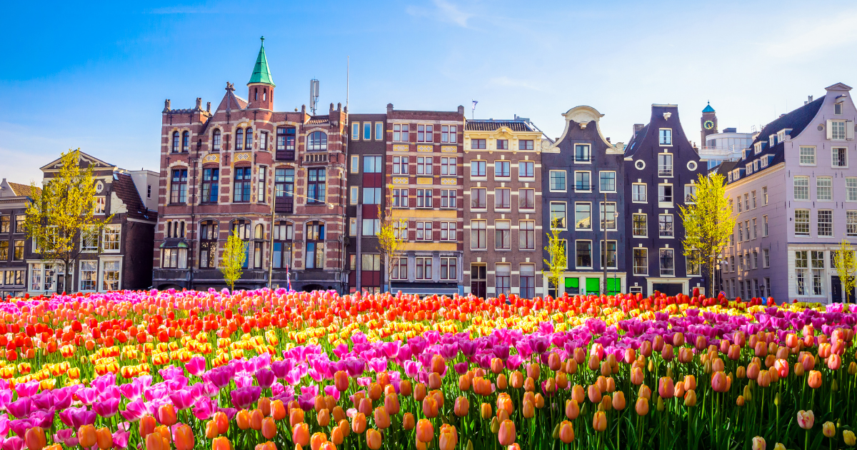 Image for Top things to do while in Amsterdam