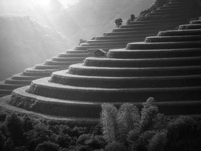 Image for Asia