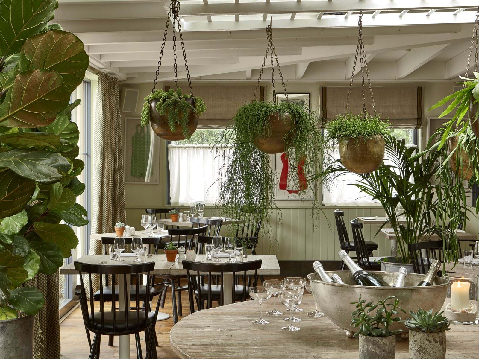 Seychelles gallivant 2024