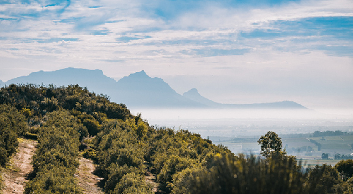 Image for Gladstone Small arrives at South Africa ODIs